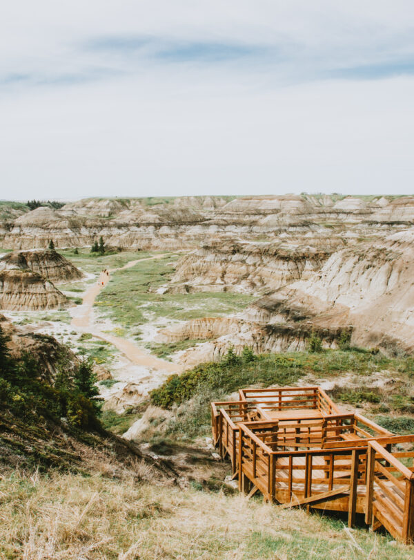 Private Alberta Badlands & Drumheller Tour