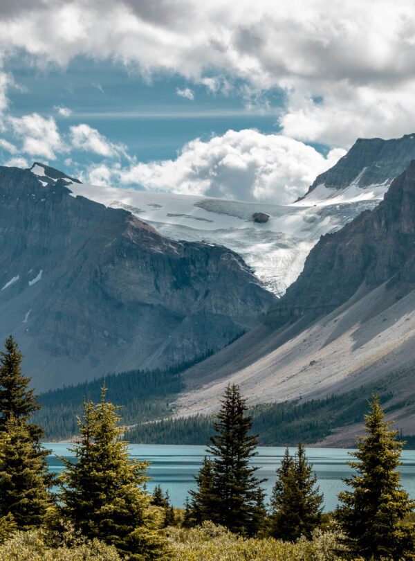 Bow Lake