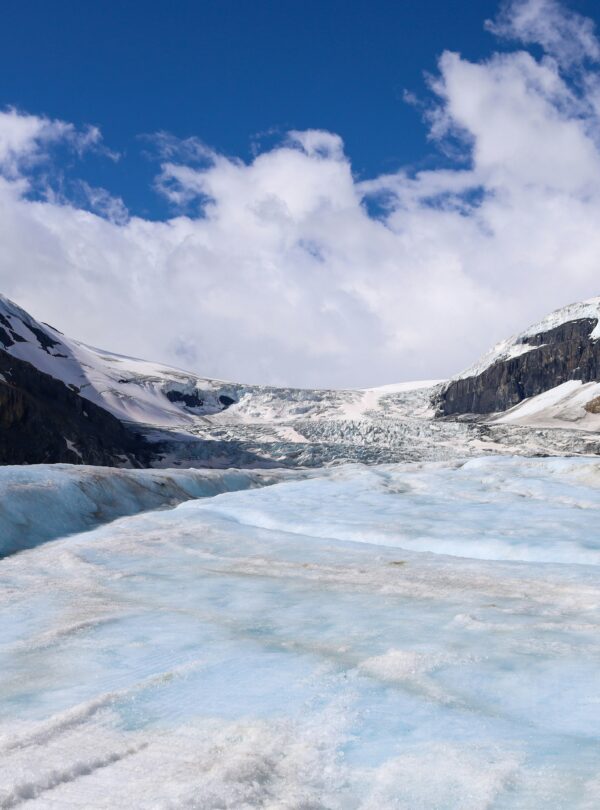 Columbia Icefield — Ice Explorer
