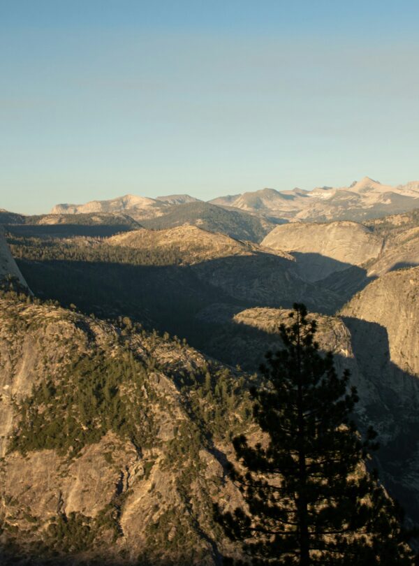 Glacier Viewpoints