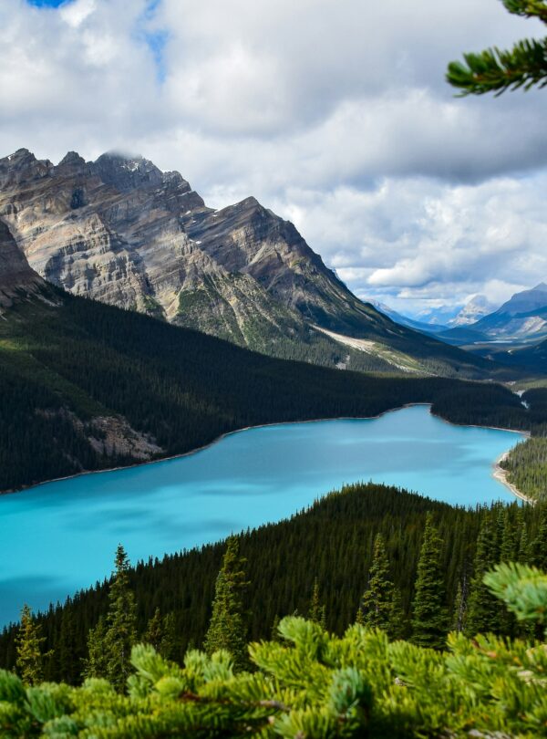 Peyto Lake