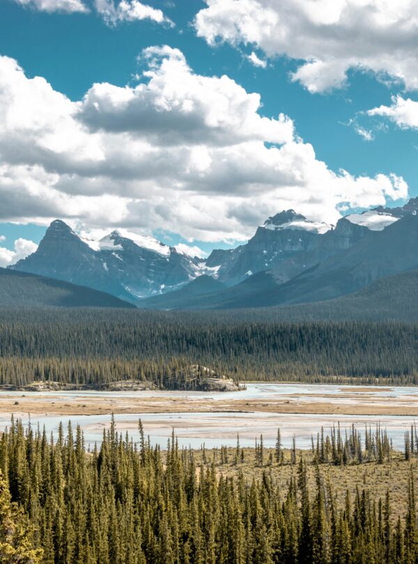 Saskatchewan River Crossing