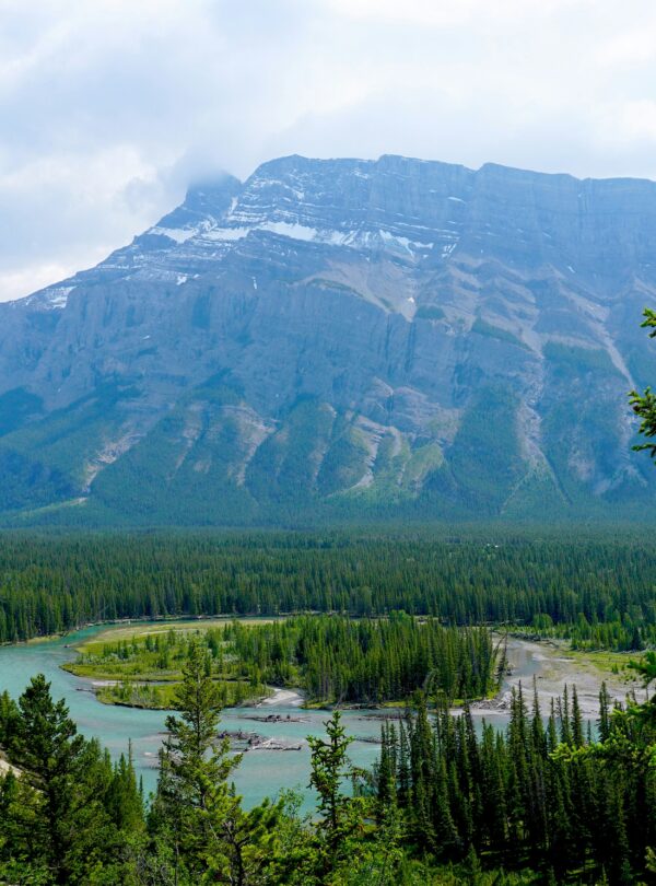 The Hoodoos