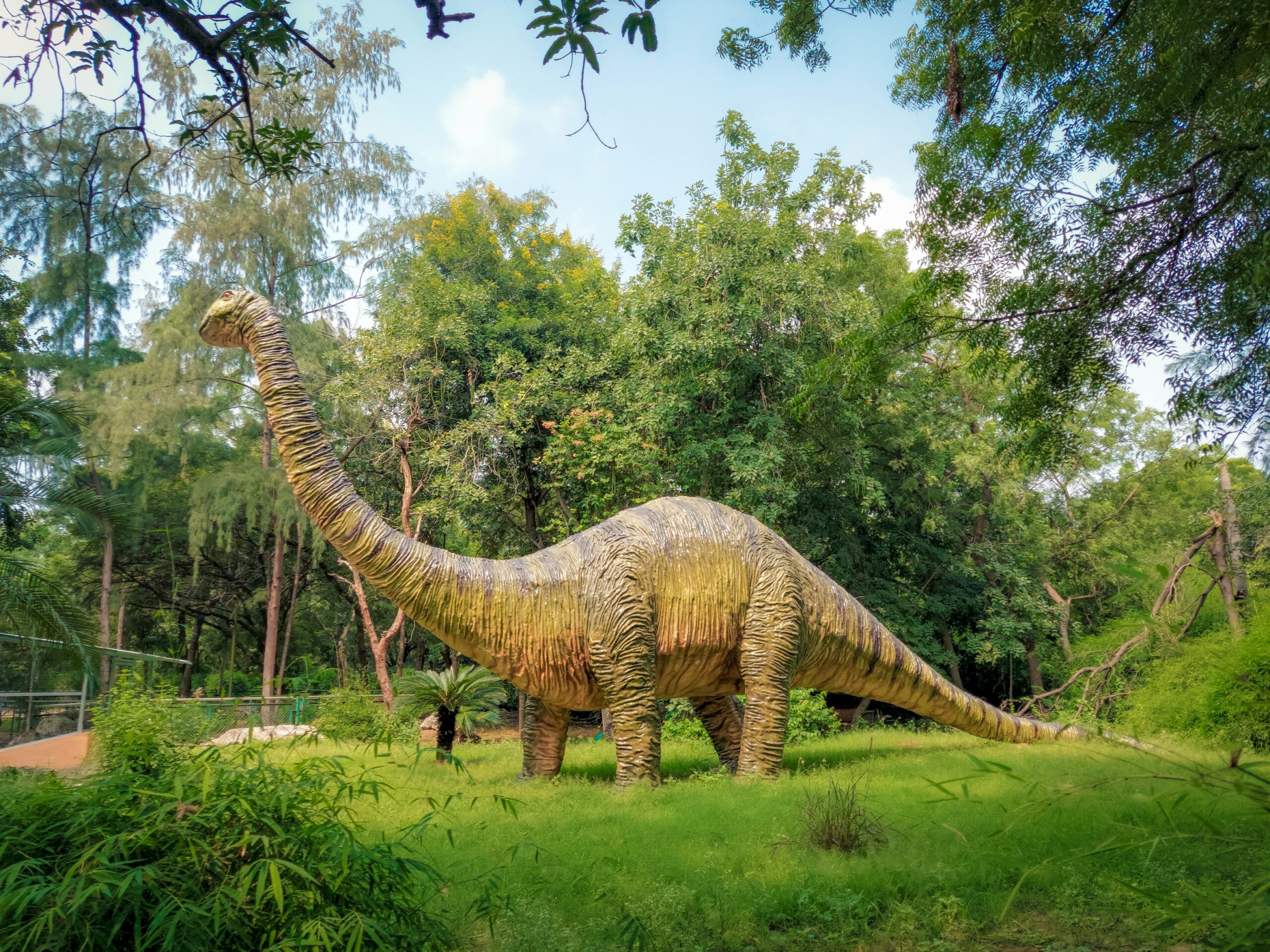 World's Largest Dinosaur