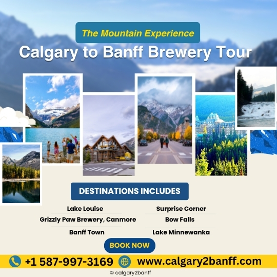 A promotional poster for the Calgary to Banff Brewery Tour Experience featuring a scenic mountain background with overlapping travel-style photos of Banff, Lake Louise, brewery visits, and sightseeing locations. The headline reads “Calgary to Banff Brewery Tour” beneath a green sign labeled “The Mountain Experience.” A destination list includes Lake Louise, Surprise Corner, Grizzly Paw Brewery in Canmore, Bow Falls, Banff Town, and Lake Minnewanka. At the bottom, a yellow banner displays contact information, the website www.calgary2banff.com
, and a “Book Now” button encouraging reservations for the brewery and sightseeing tour.